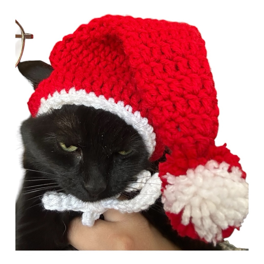 Crochet cat hat